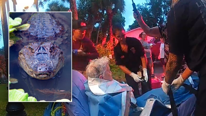 Split image of injured woman and file alligator