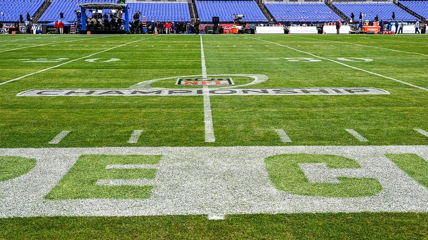 A view of the Ravens field