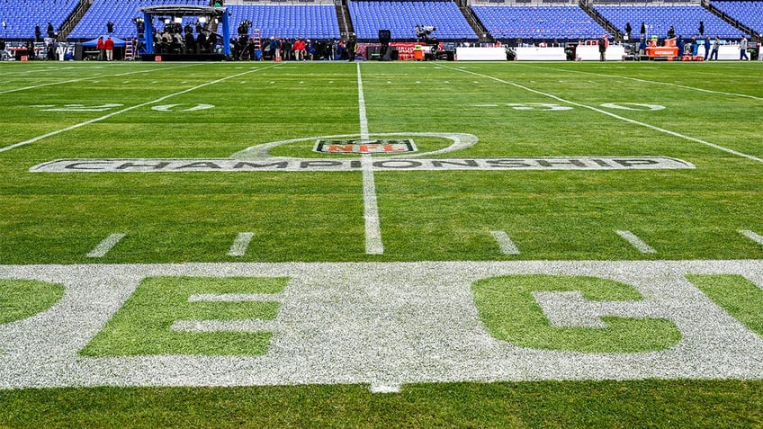 A view of the Ravens field