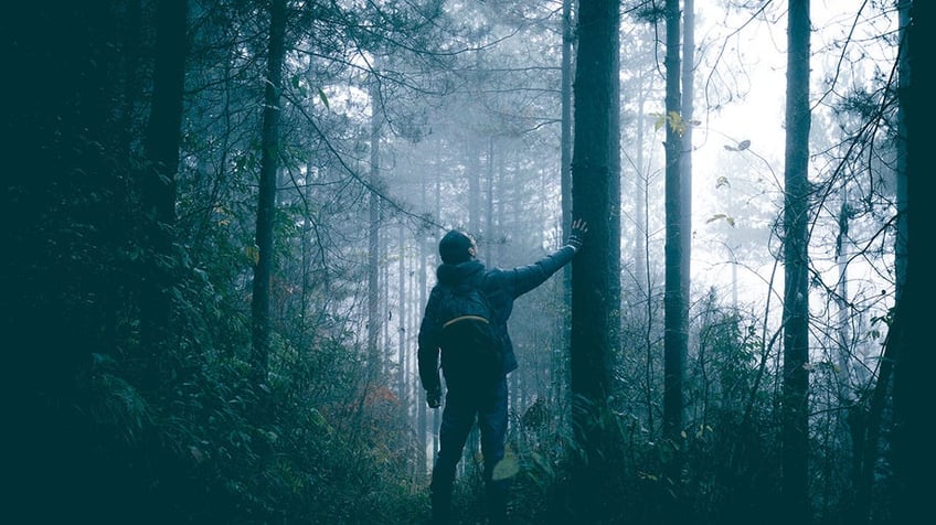Man travel alone on foggy forest
