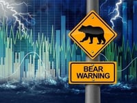 A Bear Market Rally? Or, Just A Correction?