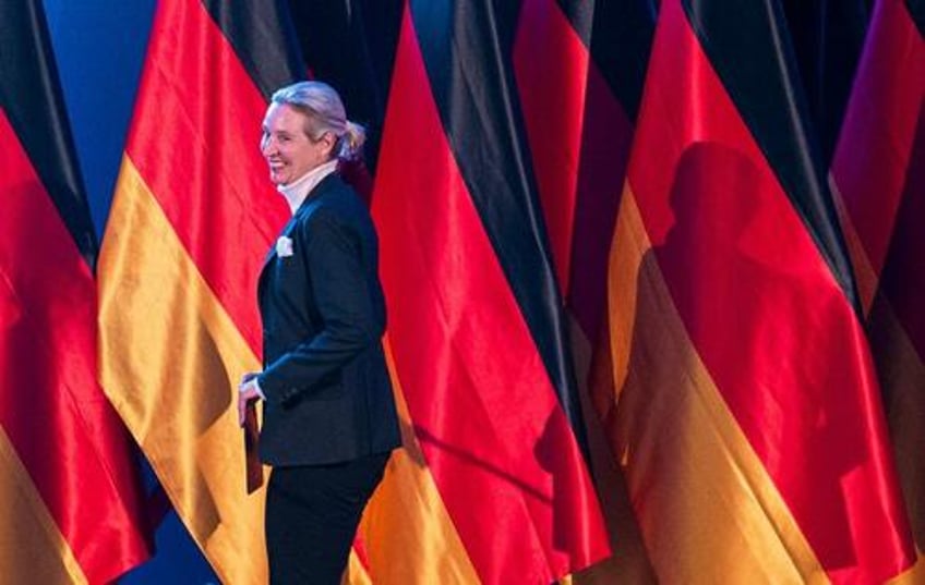 a complete surrender germany stops spying on afd party after us pressure