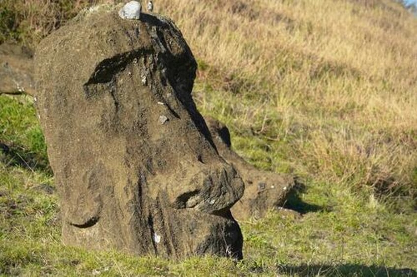 a compound discovered on easter island extends life combats alzheimers