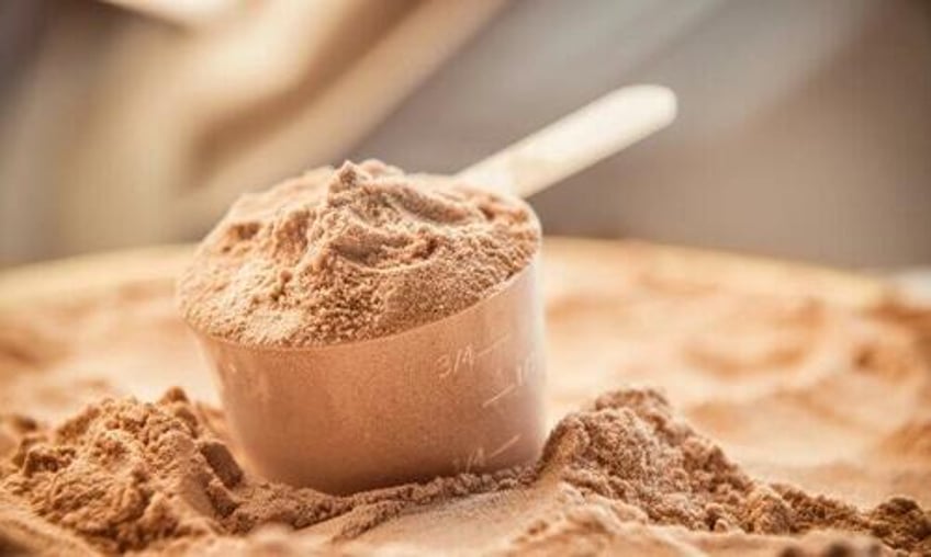 a comprehensive guide to choosing the right protein powder