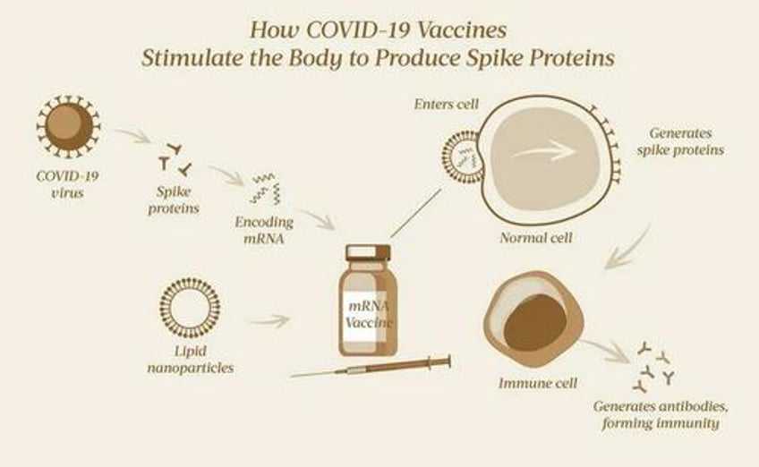 a host of notable covid 19 vaccine adverse events backed by evidence