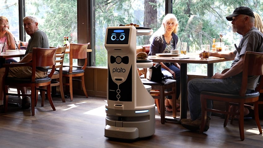 a struggling restaurant owner hired a robot to help her servers then the angry messages began