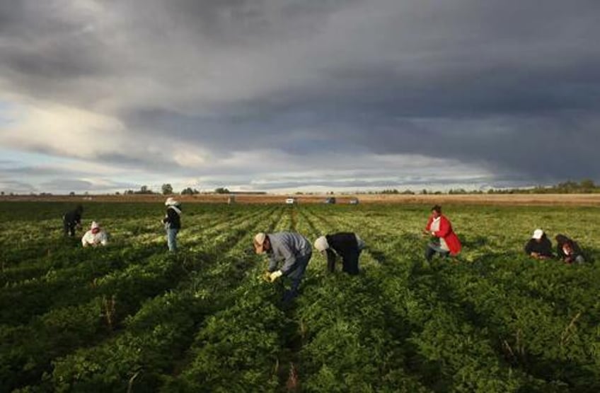 a timeline of the immigration crisis
