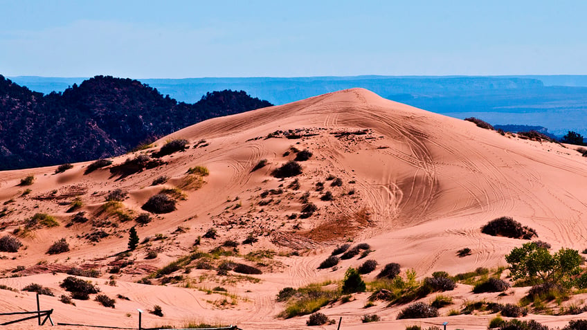 Coral Pink Sand Dunes State Park in Utah