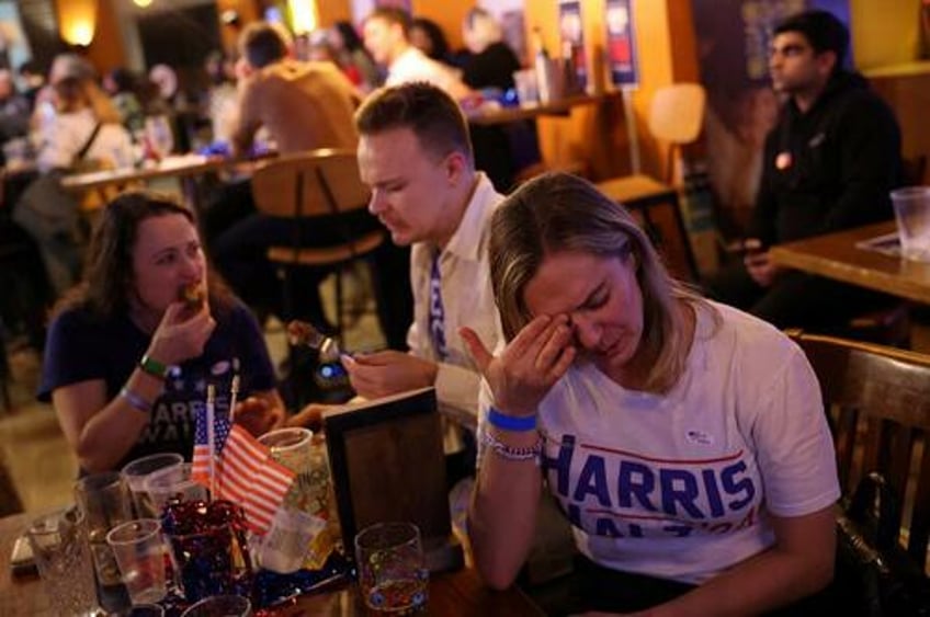 a weekend dinner party conversation with a harris voter