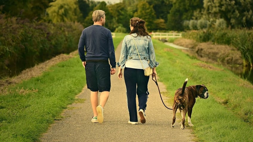 Couple walking dog