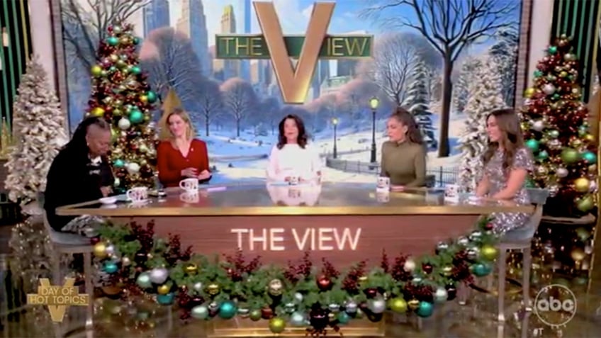 "the view" co-hosts