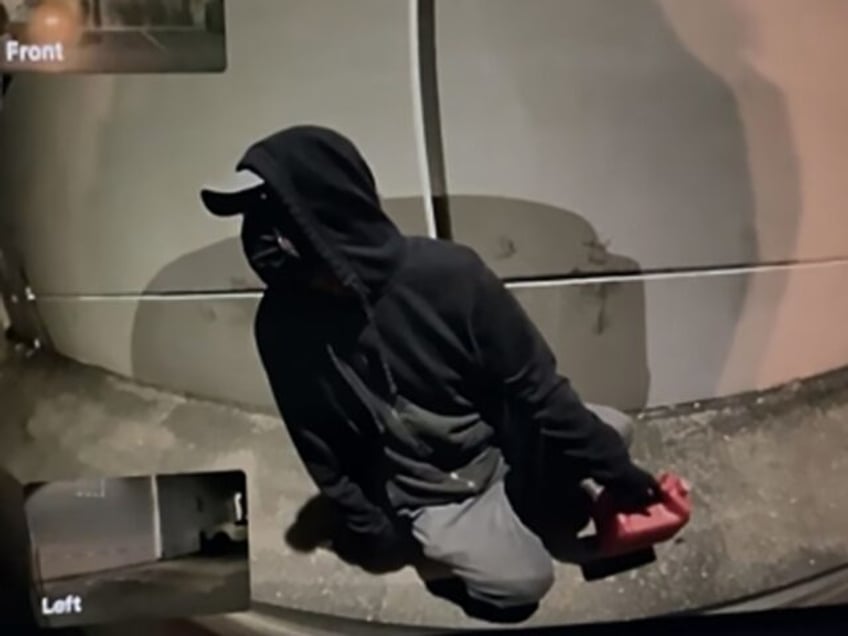 Arizona Tesla Terrorist caught on film