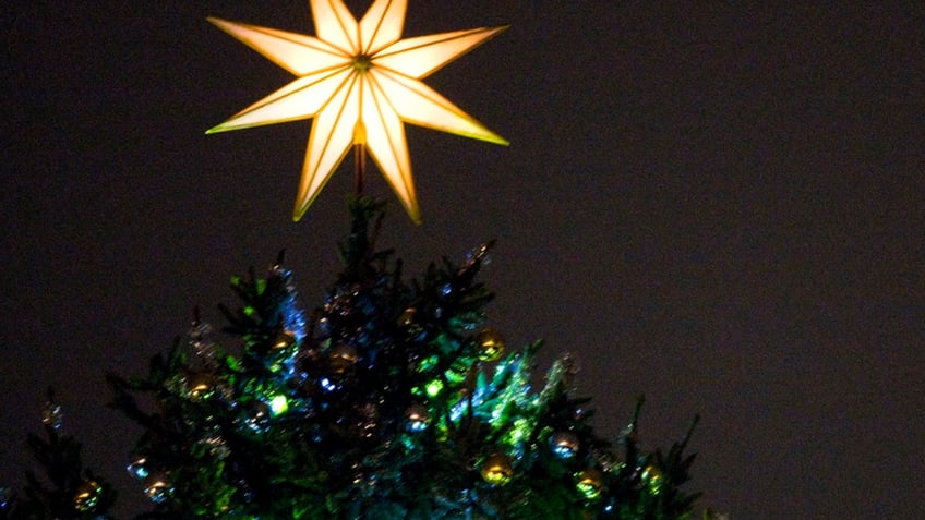 The 33-metre-high Christmas tree, which came from the forest of southern Austria, is officially lit during a ceremony as it rains in St. Peter's Square, in front of Basilica at the Vatican December 13, 2008. REUTERS/Alessandro Bianchi (VATICAN) - RTR22JUQ