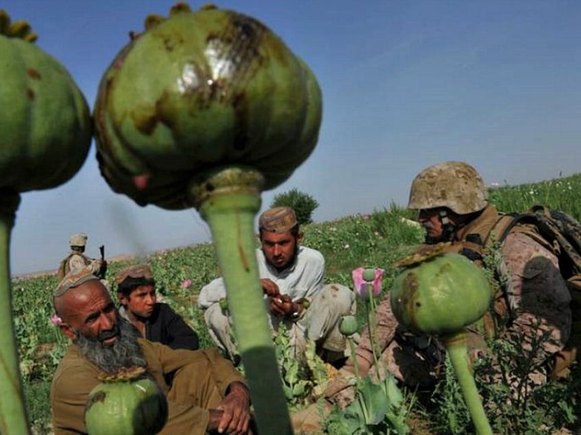 Rudy Ayala (R) Law Enforcement Professional embeded with the Marine corps questions opium poppy farmer Abdul Manan (L) and his two sons, Hastihan (2nd R) and Muhammad Bayan (2nd L) at Maranjan village in Helmand province on April 25, 2011 as US Marines from Border Adviser Team (BAT) and Explosive Ordance Disposal 1st and 2nd Marine Division and Afghanistan National Police take patrol in the area. Nearly a decade into the war in Afghanistan, opium poppies are still the major crop for many farmers and a big source of income for the Taliban despite expensive efforts to stamp out cultivation. AFP PHOTO/Bay ISMOYO (Photo credit should read BAY ISMOYO/AFP/Getty Images)