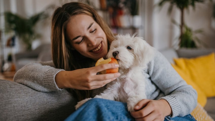 after thanksgiving these are the worst leftovers for your dog see the list