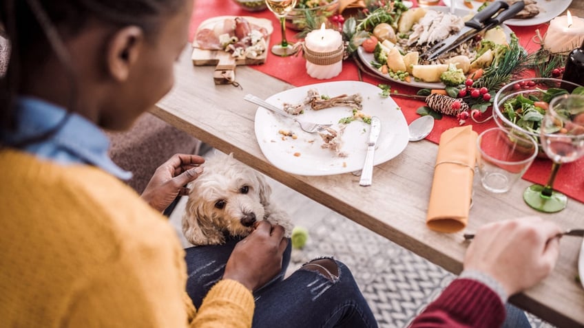 after thanksgiving these are the worst leftovers for your dog see the list