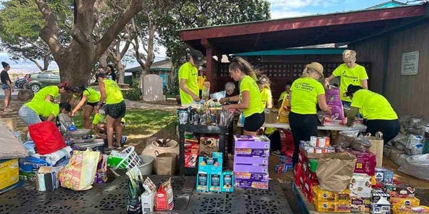 after the wildfires maui humane society continues massive effort to rescue pets reunite them with families