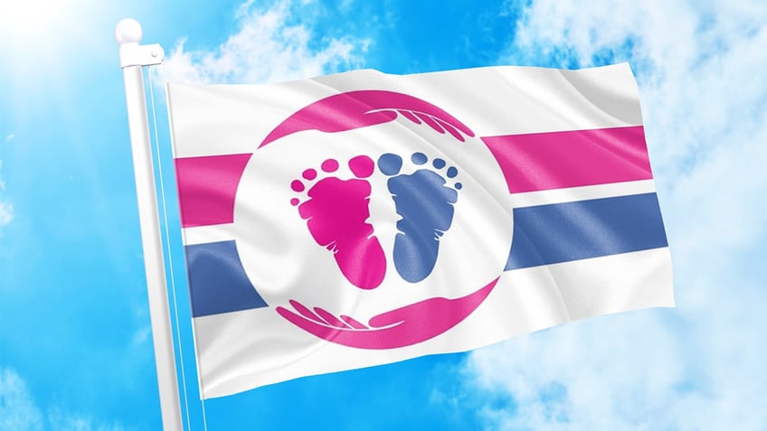 after white house trans flag controversy senators demand biden fly pro life flag