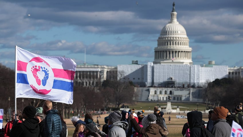 after white house trans flag controversy senators demand biden fly pro life flag