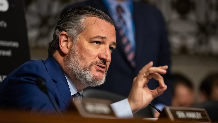 Cruz during a Senate hearing