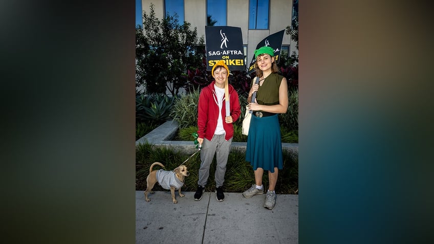 Voice actors for the Legend of Zelda protest