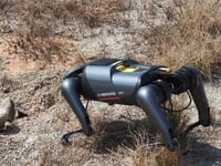 AI-powered dog robot sniffs out invasive fire ants