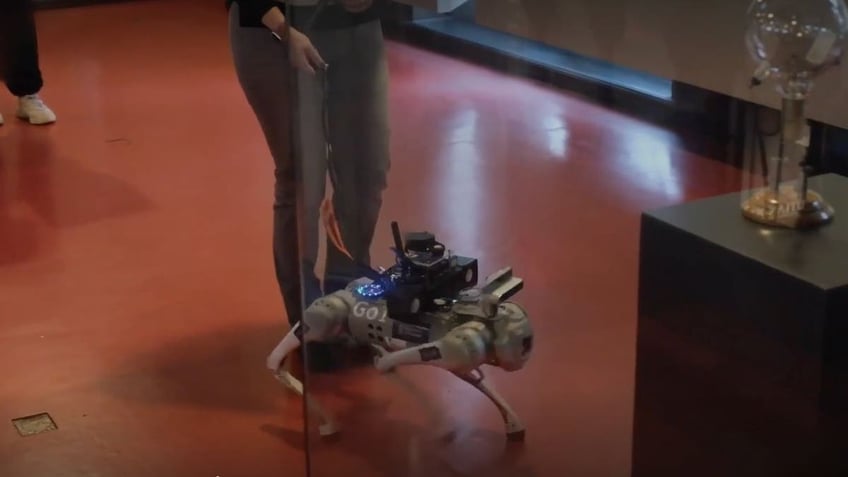 AI-powered seeing robot guide dog provides new leash on life for the blind