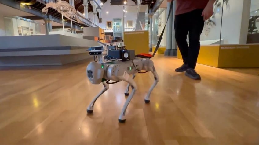 AI-powered seeing robot guide dog provides new leash on life for the blind