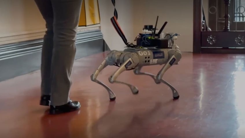 AI-powered seeing robot guide dog provides new leash on life for the blind