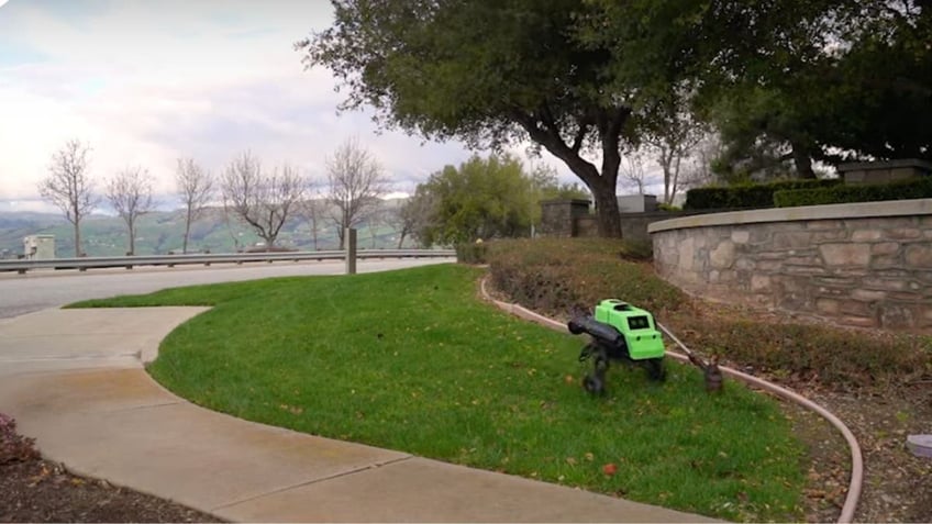 AI robot that can trim, edge, blow your lawn for you