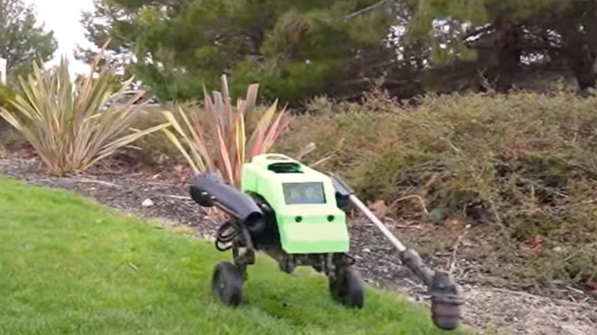 AI robot that can trim, edge, blow your lawn for you