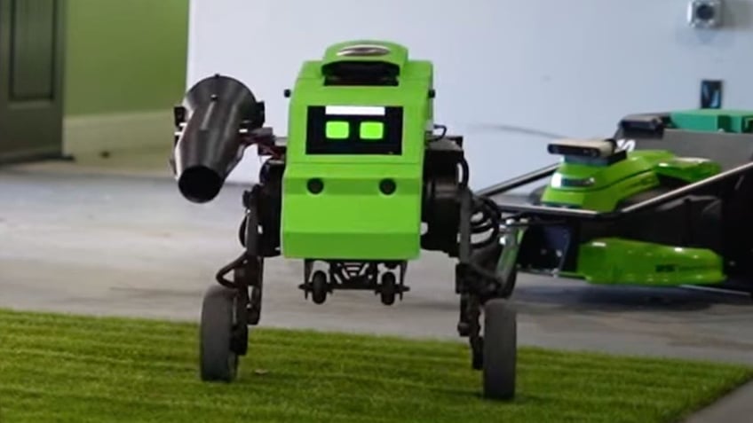 AI robot that can trim, edge, blow your lawn for you