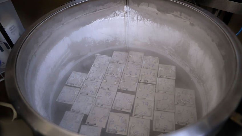 containers holding frozen embryos and sperm are stored in liquid nitrogen