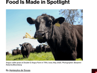 Alarming Graph Reveals US Beef Industry Is 