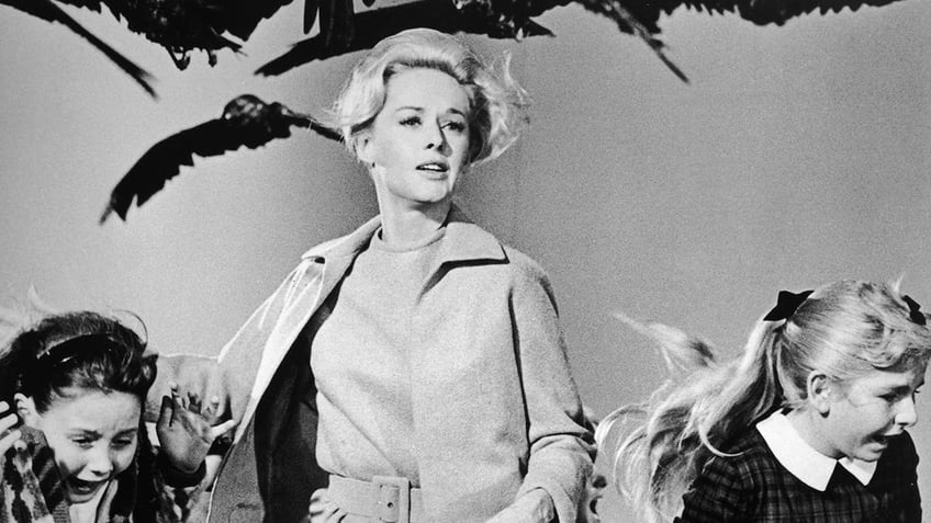 alfred hitchcocks blondes had a great deal of sex as troubled director put them through hell book