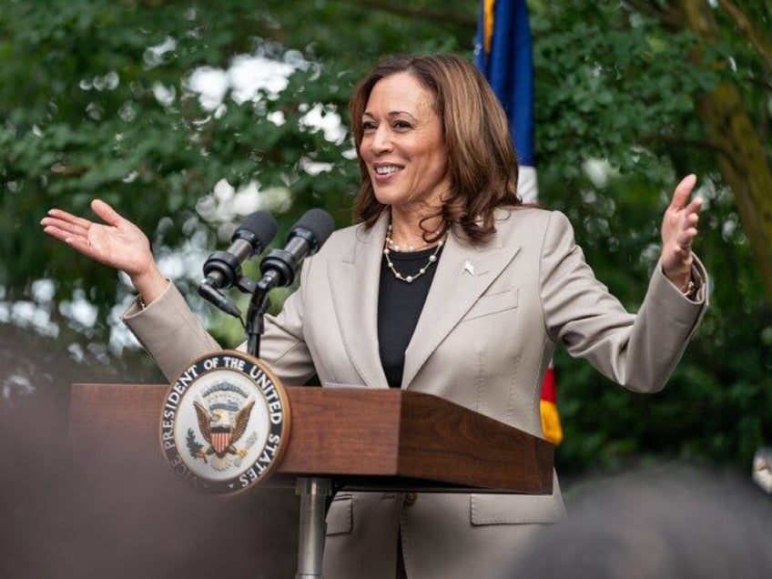 Vice President Kamala Harris delivers remarks at a reception for Black business leaders, T