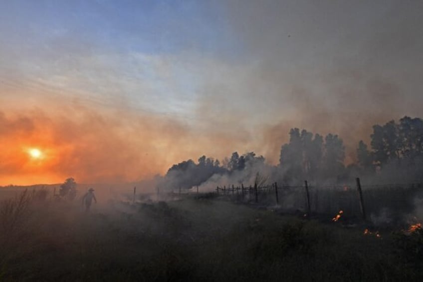 algeria fires fanned by winds extreme heat kill 34