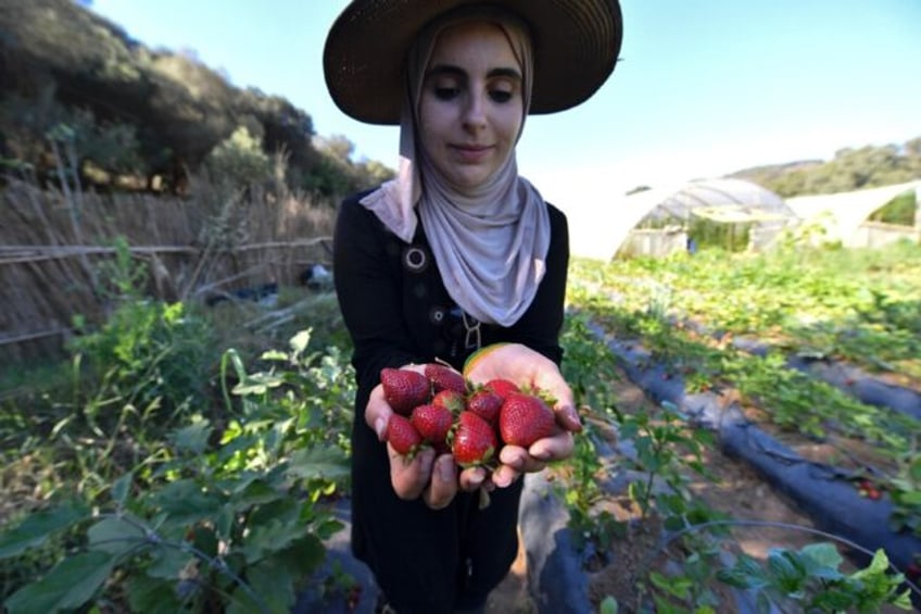 Ibtissem Mahtout with a handful of freshly picked strawberries