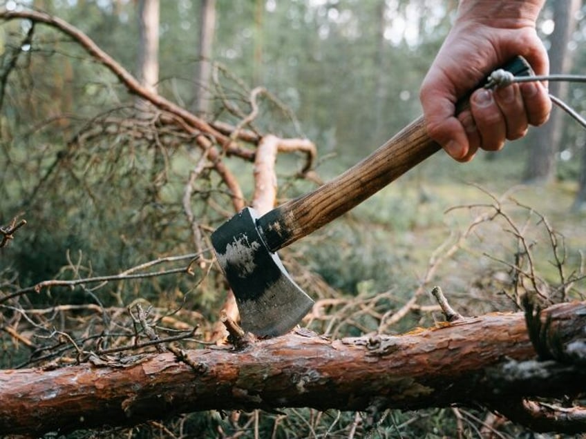 a-person-cutting-a-tree-log-using-axe