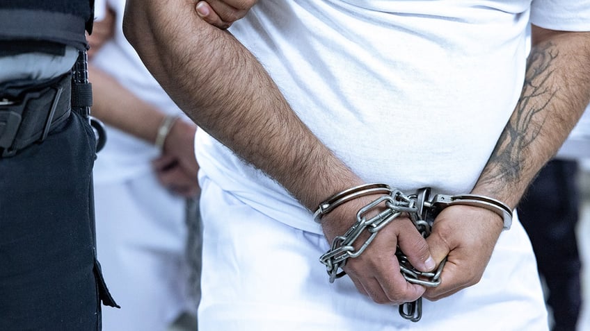 Tren de Aragua gang member in custody, handcuffed