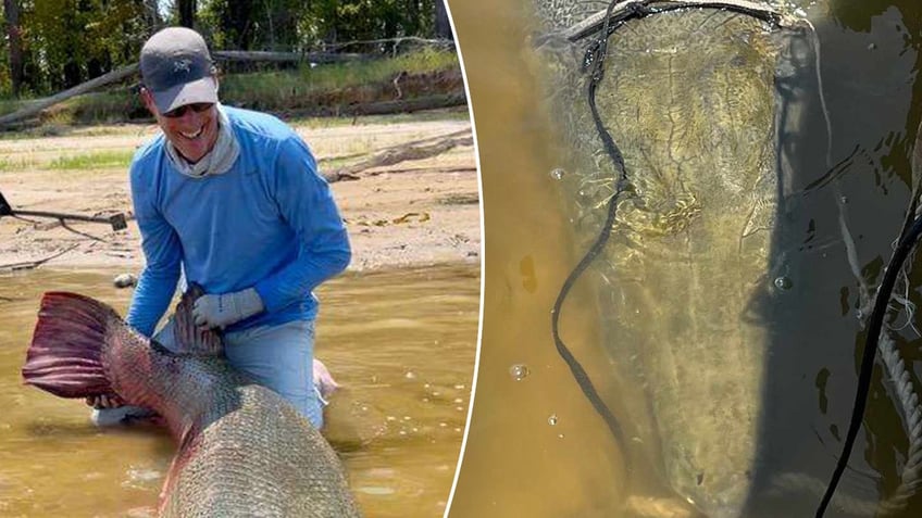 alligator gar caught in texas weighing 283 pounds shatters multiple records four in one fell swoop