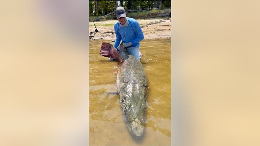 alligator gar caught in texas weighing 283 pounds shatters multiple records four in one fell swoop