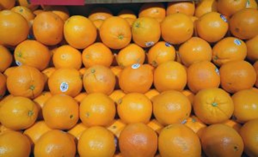 Already stung by reduced crop estimate, Florida citrus industry now faces polar vortex