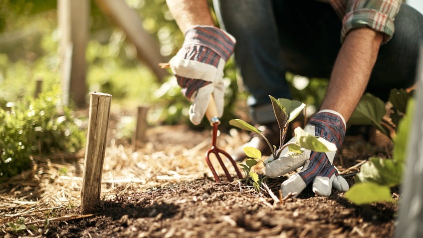 already thinking about spring these 10 garden items can help you prepare