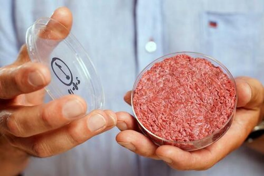 alt protein pentagon contractor wants to feed us troops lab grown meat to reduce co2 footprint