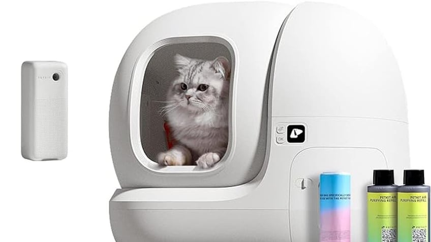 amazon cyber week 12 pet deals you wont want to miss