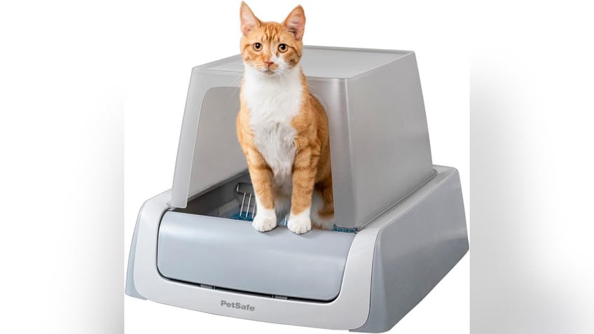 amazon pet day 10 top picks on sale for your cats and dogs