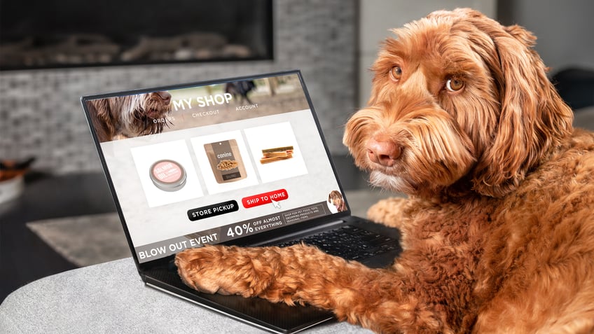 amazon prime big deal days offers discounts on pet essentials this october