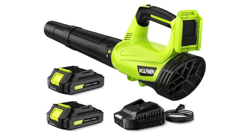 A lightweight leaf blower that has a 30-minute runtime. 