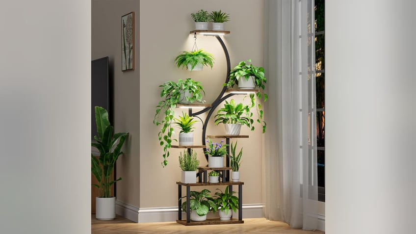 Organize your plants with this shelf system.